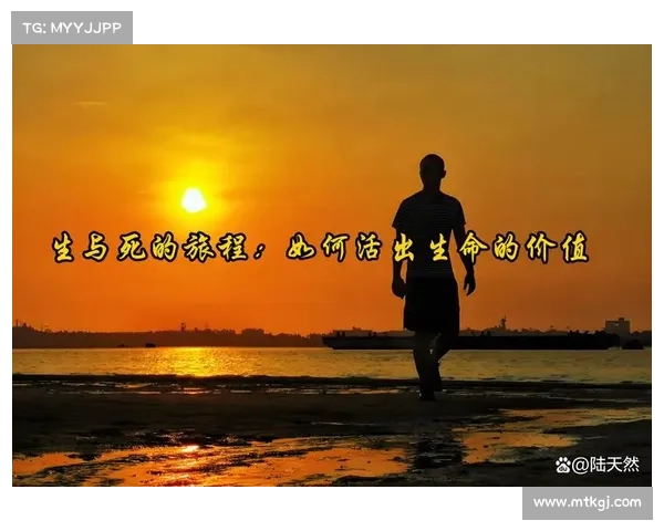 在多元文化交织中发现自我价值与生命的独特精彩