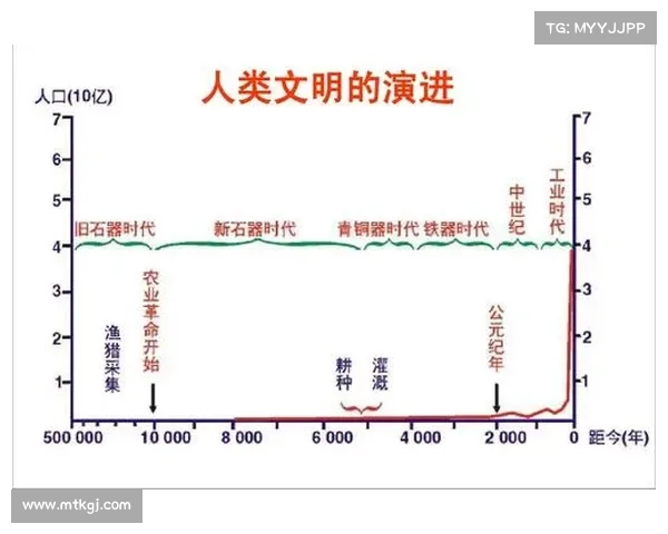 文化交流与社会变迁：跨越时空的历史轨迹与人类文明的共同发展