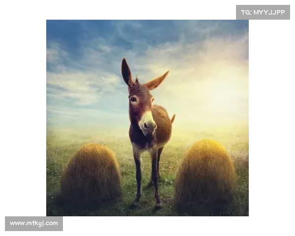 《追寻失落的传奇之兽探秘古老神秘生物的探索之旅》