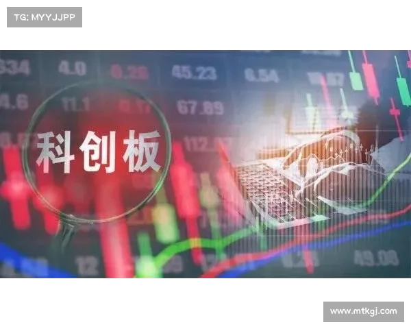 全面解读法甲冠军标志演变脉络与象征意义深度权威解析指南大全集